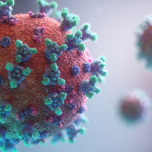 ¿Cómo funcionan los test de detección de coronavirus?